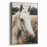 Rustic White Horse Portrait Farmhouse Wall Art – Country Style Decor