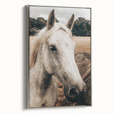 Rustic White Horse Portrait Farmhouse Wall Art – Country Style Decor