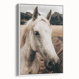 Rustic White Horse Portrait Farmhouse Wall Art – Country Style Decor
