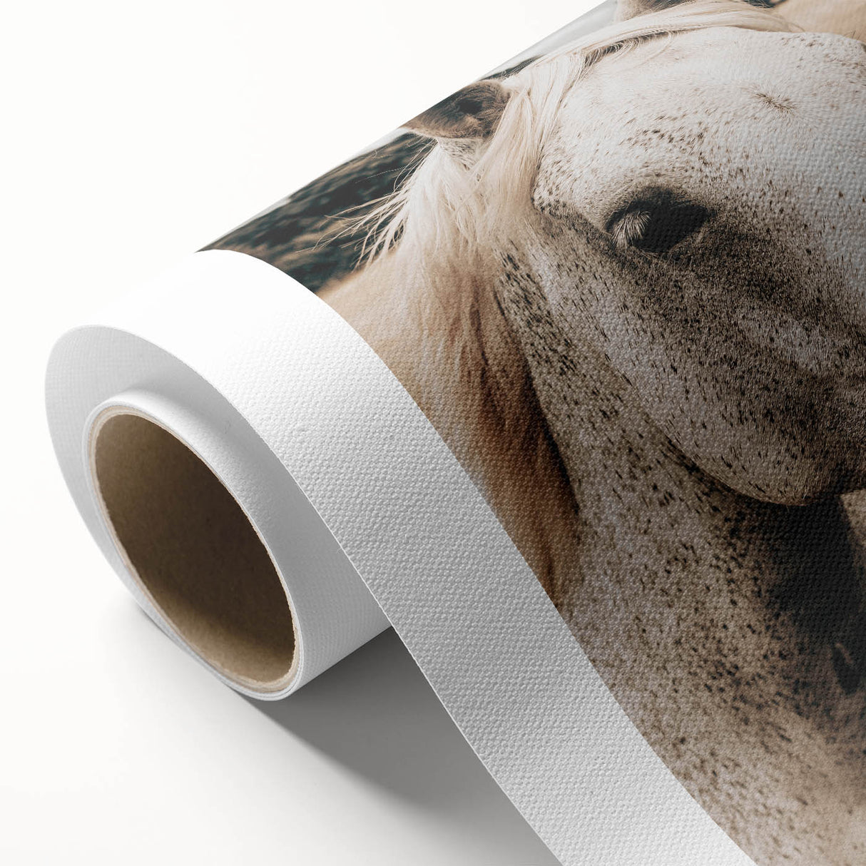 Rustic White Horse Portrait Farmhouse Wall Art – Country Style Decor