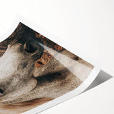 Rustic White Horse Portrait Farmhouse Wall Art – Country Style Decor