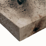 Rustic White Horse Portrait Farmhouse Wall Art – Country Style Decor