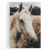 Rustic White Horse Portrait Farmhouse Wall Art – Country Style Decor