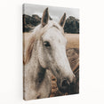 Rustic White Horse Portrait Farmhouse Wall Art – Country Style Decor