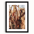 Farmhouse Wall Art Dried Cornfield Print | Rustic Country Harvest Decor