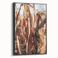 Farmhouse Wall Art Dried Cornfield Print | Rustic Country Harvest Decor