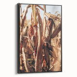 Farmhouse Wall Art Dried Cornfield Print | Rustic Country Harvest Decor