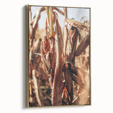 Farmhouse Wall Art Dried Cornfield Print | Rustic Country Harvest Decor