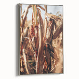 Farmhouse Wall Art Dried Cornfield Print | Rustic Country Harvest Decor