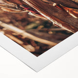 Farmhouse Wall Art Dried Cornfield Print | Rustic Country Harvest Decor