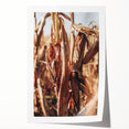 Farmhouse Wall Art Dried Cornfield Print | Rustic Country Harvest Decor