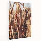 Farmhouse Wall Art Dried Cornfield Print | Rustic Country Harvest Decor