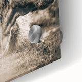 Sepia Highland Cow Wall Art | Tranquil Farmhouse Animal Decor