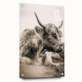 Sepia Highland Cow Wall Art | Tranquil Farmhouse Animal Decor