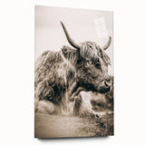 Sepia Highland Cow Wall Art | Tranquil Farmhouse Animal Decor