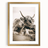 Sepia Highland Cow Wall Art | Tranquil Farmhouse Animal Decor