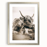 Sepia Highland Cow Wall Art | Tranquil Farmhouse Animal Decor