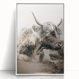 Sepia Highland Cow Wall Art | Tranquil Farmhouse Animal Decor