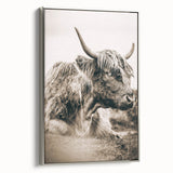 Sepia Highland Cow Wall Art | Tranquil Farmhouse Animal Decor