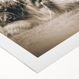 Sepia Highland Cow Wall Art | Tranquil Farmhouse Animal Decor