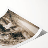 Sepia Highland Cow Wall Art | Tranquil Farmhouse Animal Decor