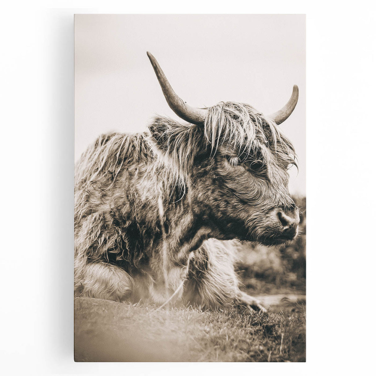 Sepia Highland Cow Wall Art | Tranquil Farmhouse Animal Decor