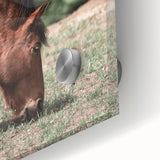 Farmhouse Wall Art Horse Grazing Print | Rustic Country Animal Decor