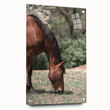 Farmhouse Wall Art Horse Grazing Print | Rustic Country Animal Decor