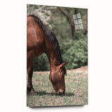Farmhouse Wall Art Horse Grazing Print | Rustic Country Animal Decor