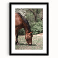 Farmhouse Wall Art Horse Grazing Print | Rustic Country Animal Decor