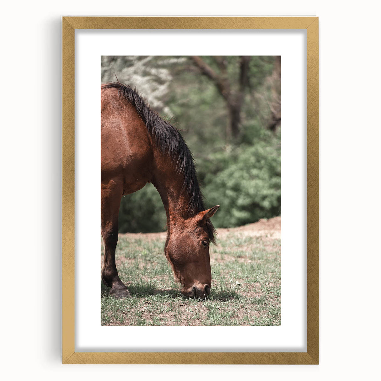 Farmhouse Wall Art Horse Grazing Print | Rustic Country Animal Decor