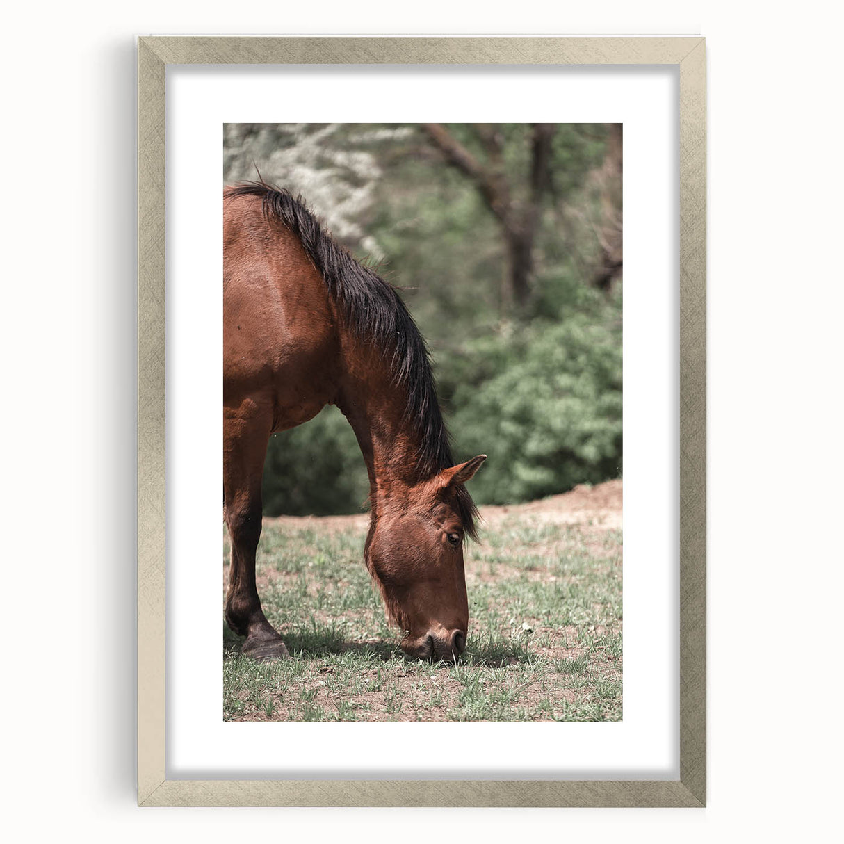 Farmhouse Wall Art Horse Grazing Print | Rustic Country Animal Decor