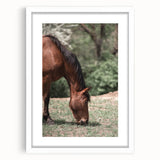 Farmhouse Wall Art Horse Grazing Print | Rustic Country Animal Decor