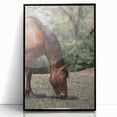 Farmhouse Wall Art Horse Grazing Print | Rustic Country Animal Decor