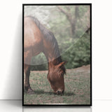 Farmhouse Wall Art Horse Grazing Print | Rustic Country Animal Decor
