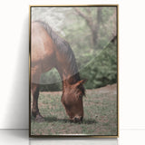 Farmhouse Wall Art Horse Grazing Print | Rustic Country Animal Decor