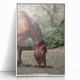 Farmhouse Wall Art Horse Grazing Print | Rustic Country Animal Decor