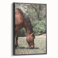 Farmhouse Wall Art Horse Grazing Print | Rustic Country Animal Decor