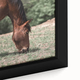 Farmhouse Wall Art Horse Grazing Print | Rustic Country Animal Decor