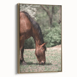 Farmhouse Wall Art Horse Grazing Print | Rustic Country Animal Decor