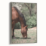 Farmhouse Wall Art Horse Grazing Print | Rustic Country Animal Decor