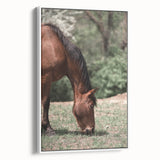 Farmhouse Wall Art Horse Grazing Print | Rustic Country Animal Decor