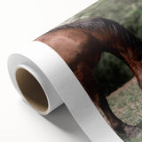 Farmhouse Wall Art Horse Grazing Print | Rustic Country Animal Decor