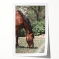 Farmhouse Wall Art Horse Grazing Print | Rustic Country Animal Decor