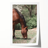 Farmhouse Wall Art Horse Grazing Print | Rustic Country Animal Decor