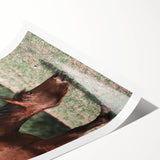 Farmhouse Wall Art Horse Grazing Print | Rustic Country Animal Decor
