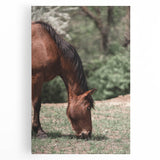 Farmhouse Wall Art Horse Grazing Print | Rustic Country Animal Decor