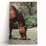 Farmhouse Wall Art Horse Grazing Print | Rustic Country Animal Decor