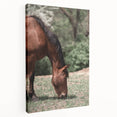 Farmhouse Wall Art Horse Grazing Print | Rustic Country Animal Decor