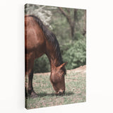 Farmhouse Wall Art Horse Grazing Print | Rustic Country Animal Decor